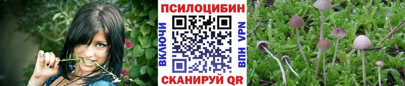 Галлюциногенные грибы MAGIC MUSHROOMS  Хвалынск 